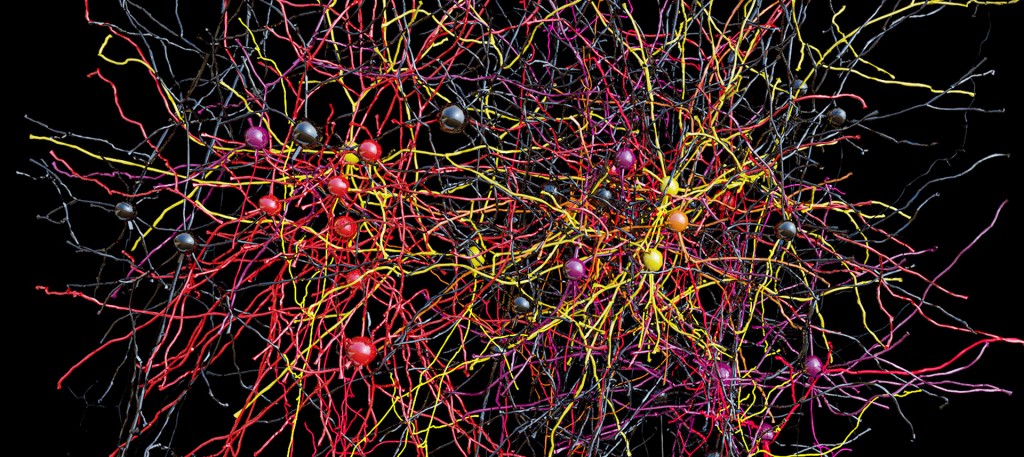 Neurons_all_16_large_BlackBG-Reid-2